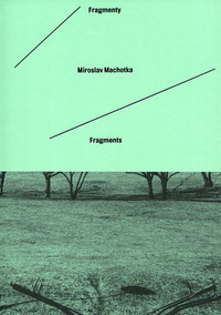 Fragmenty / Fragments