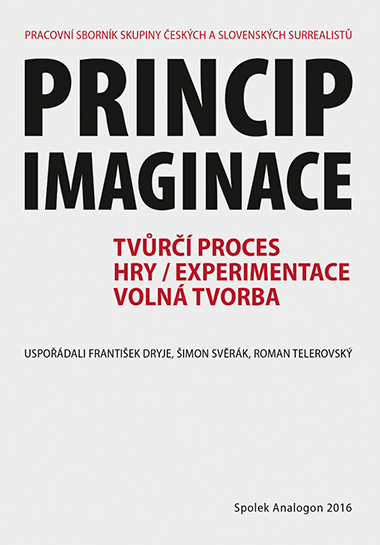 Princip imaginace