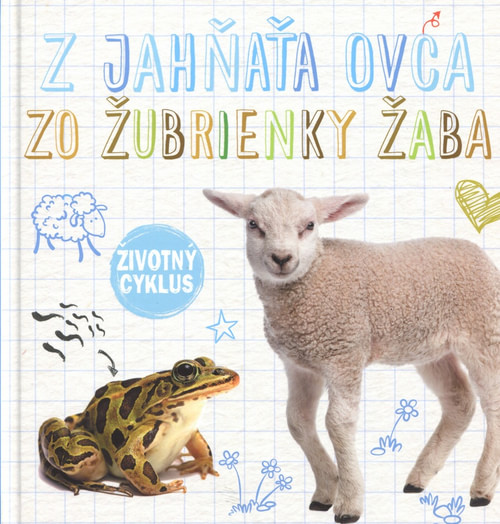Z jahňaťa ovca, zo žubrienky žaba