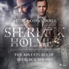 The Adventures of Sherlock Holmes (EN)