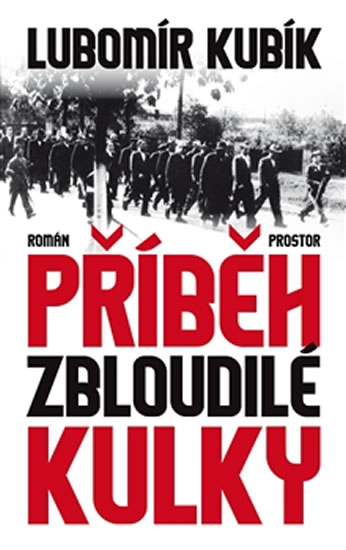 Příběh zbloudilé kulky