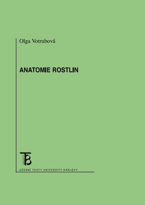 Anatomie rostlin