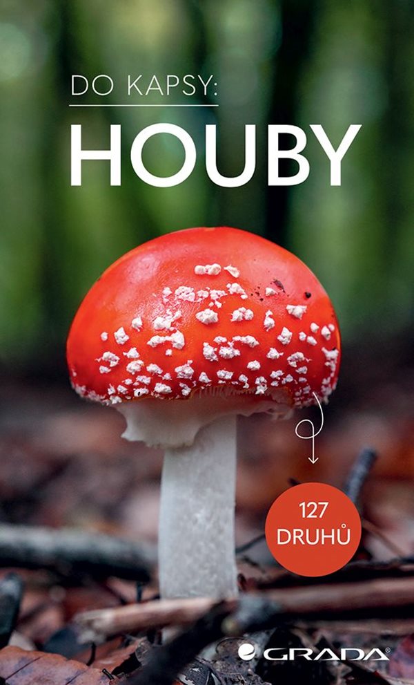 Do kapsy: Houby