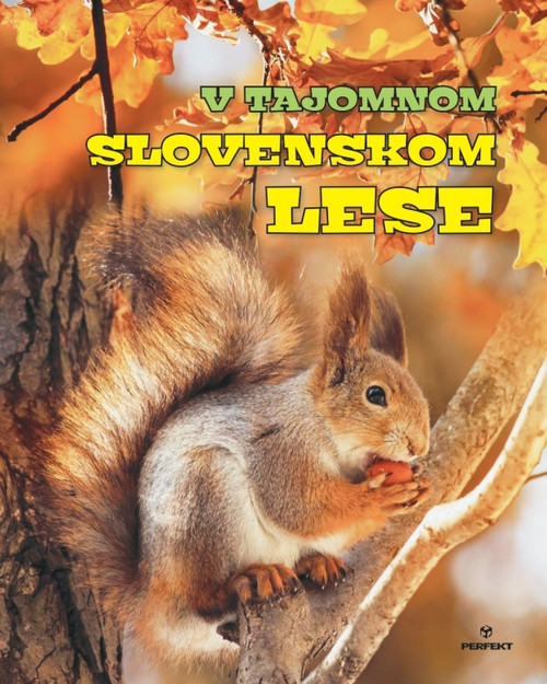 V tajomnom slovenskom lese