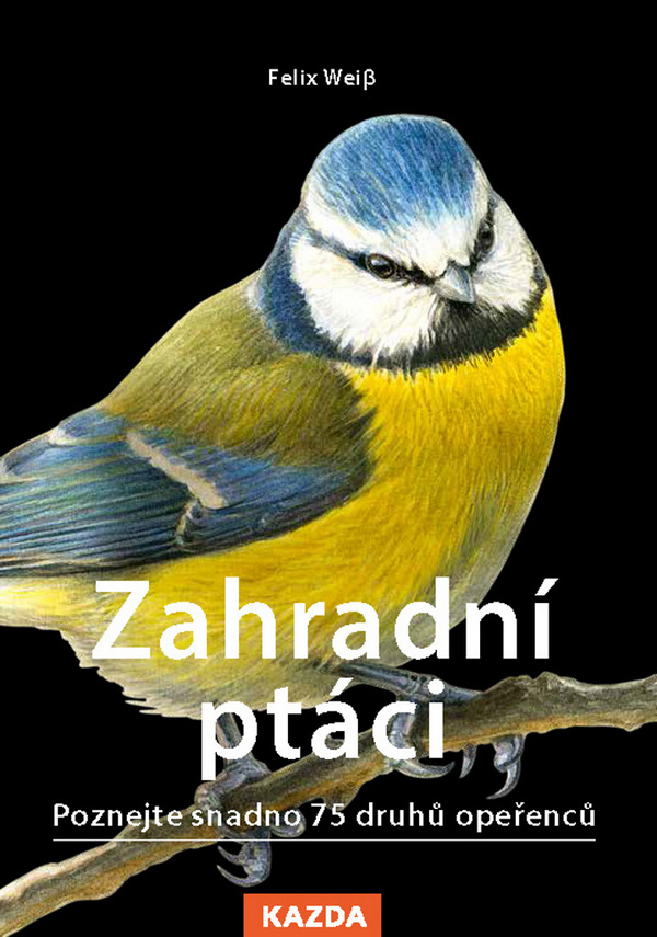 Zahradní ptáci