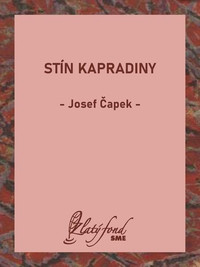 Stín kapradiny