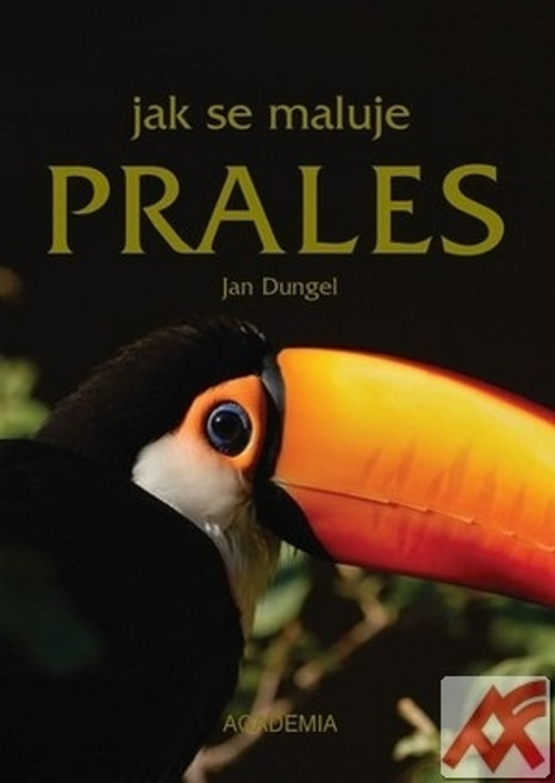 Jak se maluje prales