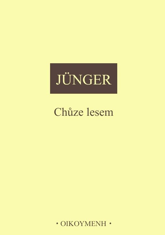 Chůze lesem