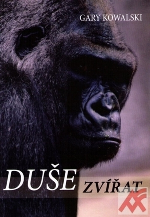 Duše zvířat