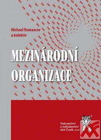 Mezinárodní organizace