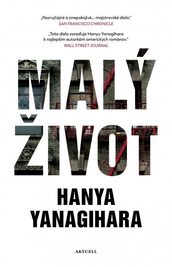 Malý život (slovenské vydanie)