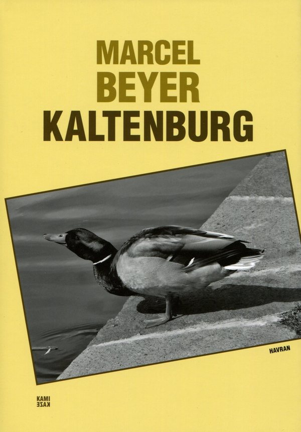 Kaltenburg
