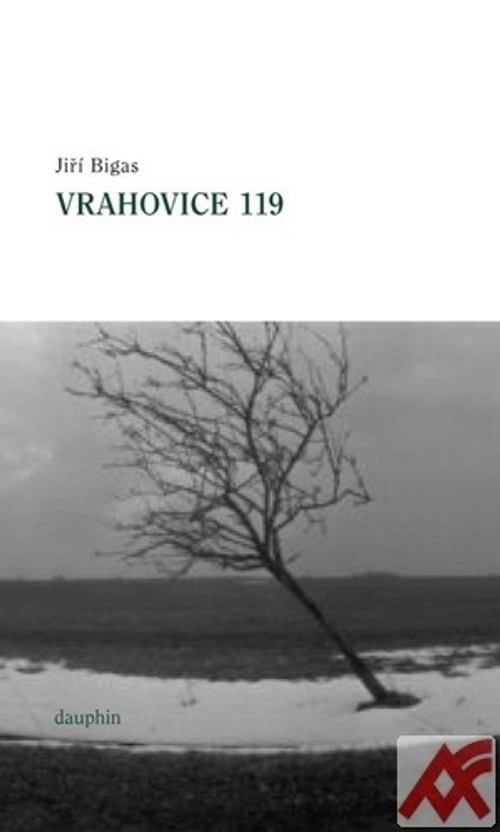 Vrahovice 119