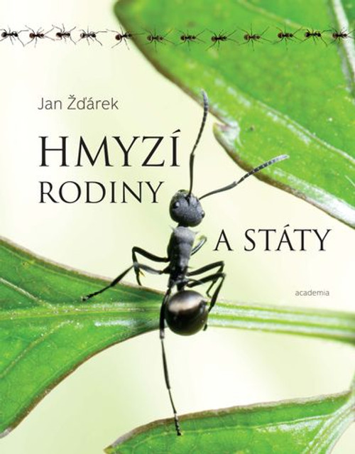 Hmyzí rodiny a státy