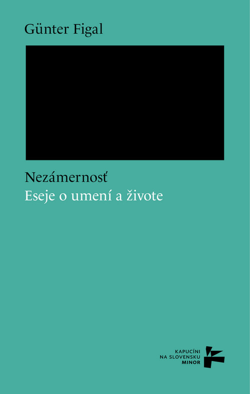 Nezámernosť. Eseje o umení a živote