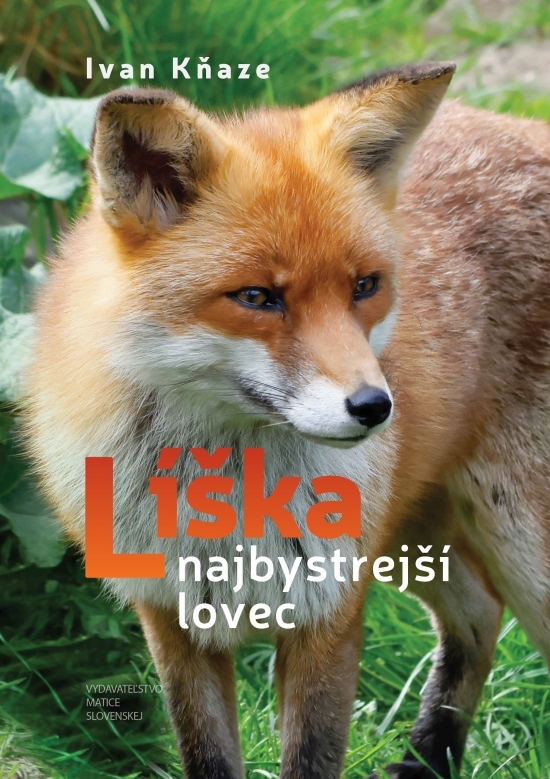 Líška - najbystrejší lovec