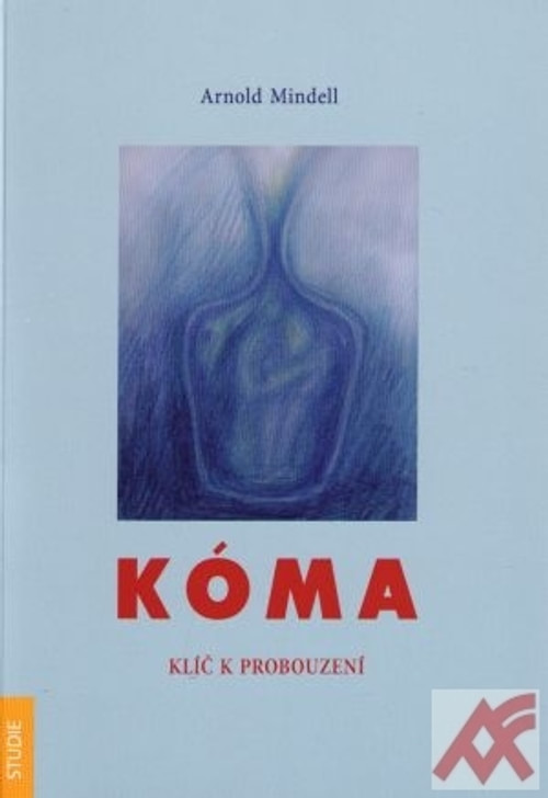 Kóma. Klíč k probouzení