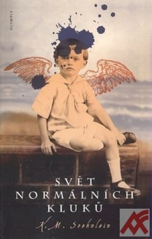 Svět normálních kluků