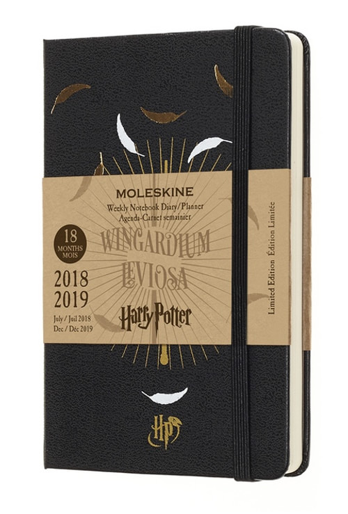 Harry Potter plánovací zápisník černý 2018-2019 S