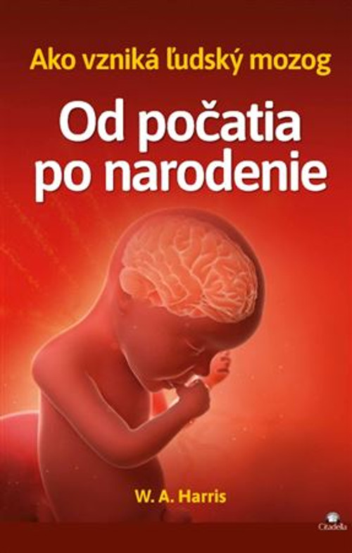 Od počatia po narodenie