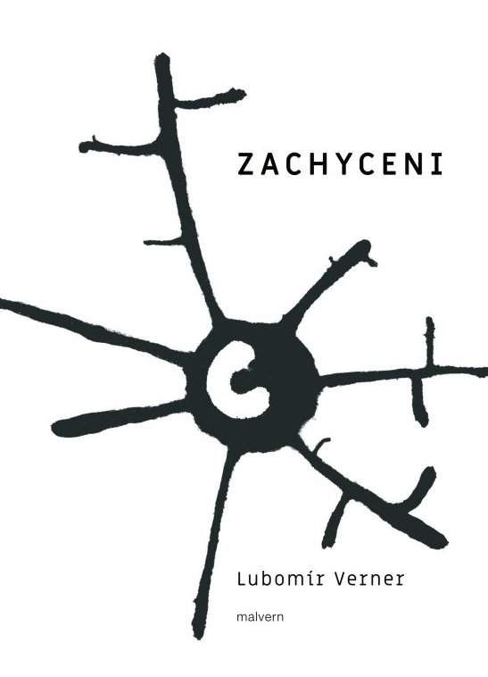 Zachyceni