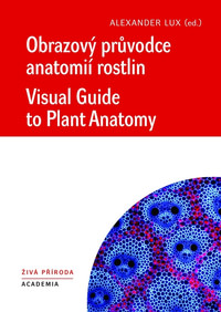 Obrazový průvodce anatomíí rostlin