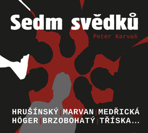 Sedm svědků - CD (audiokniha)