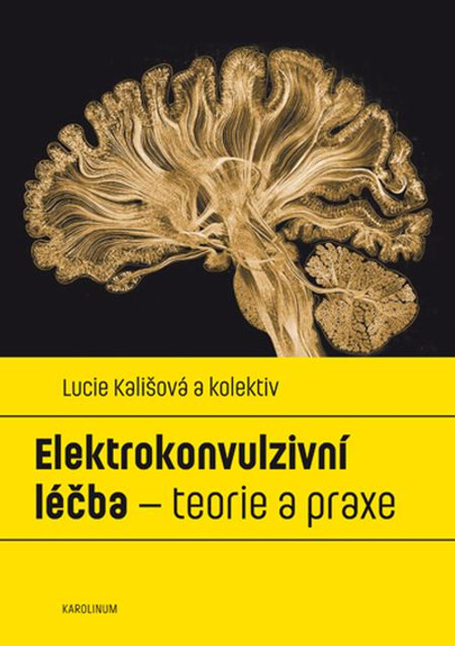 Elektrokonvulzivní léčba - teorie a praxe