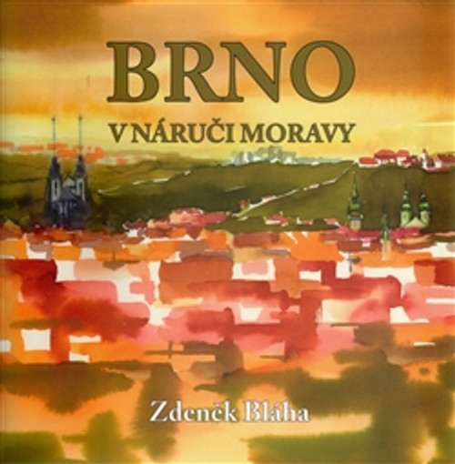 Brno v náruči Moravy