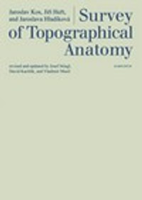 Survey of Topographical Anatomy