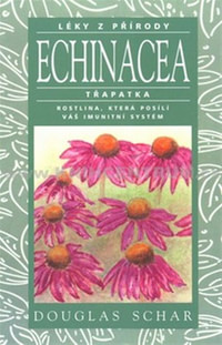 Echinacea