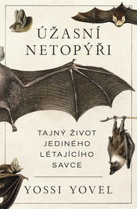 Úžasní netopýři