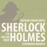 Poslední poklona Sherlocka Holmese 2 - Lepenková krabice