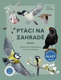 Ptáci na zahradě