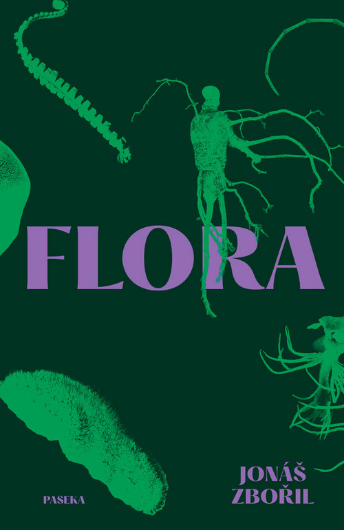 Flora