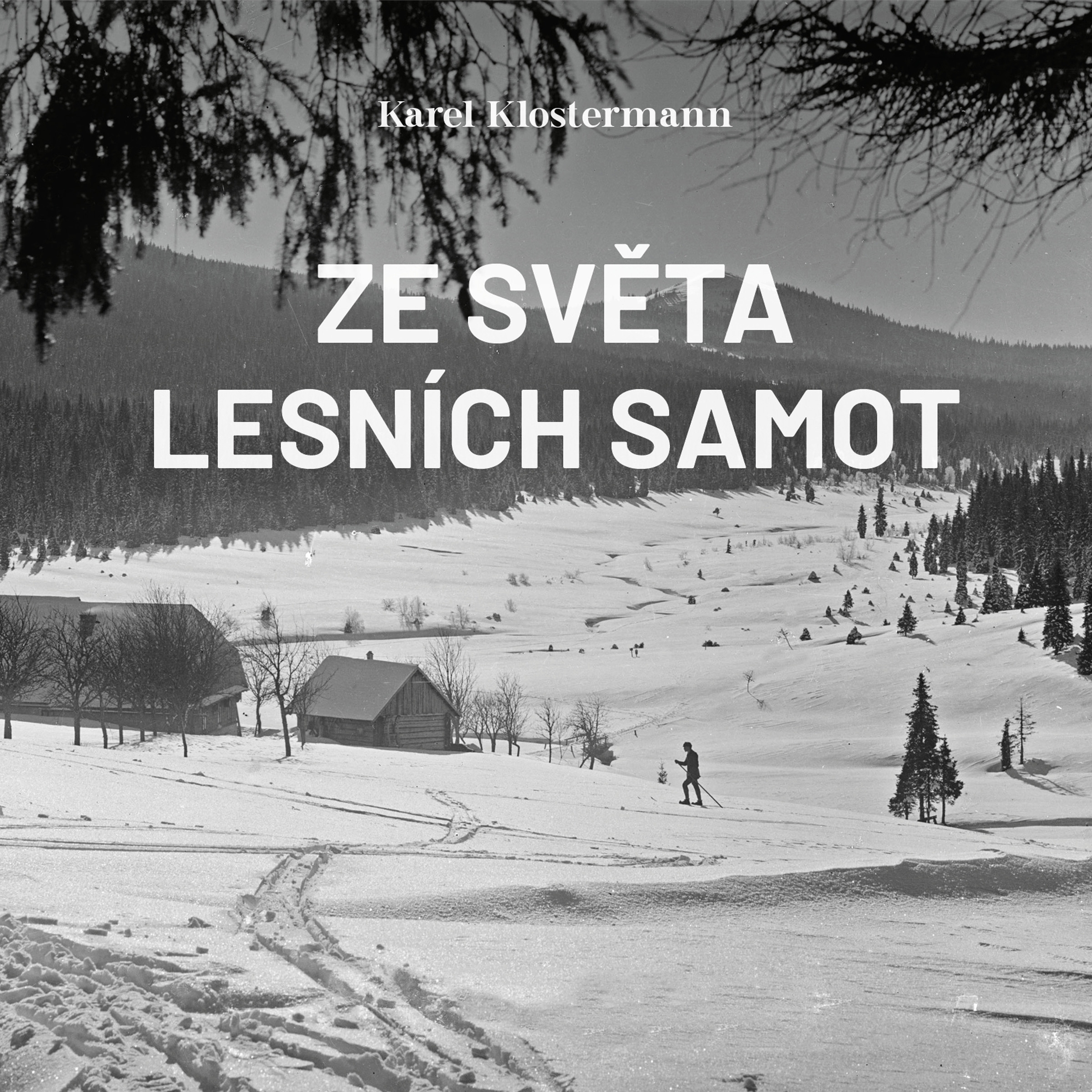 Ze světa lesních samot