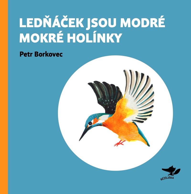Lednáček jsou modré mokré holínky