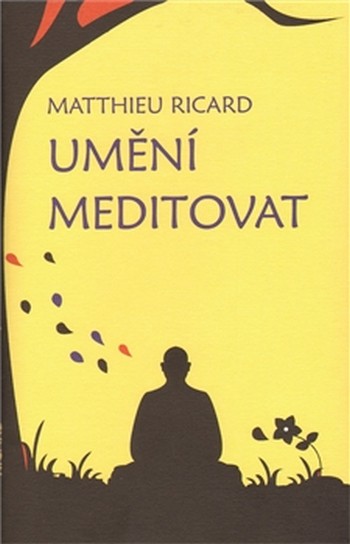 Umění meditovat