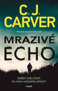 Mrazivé echo (Psycholog Harry Hope 1)