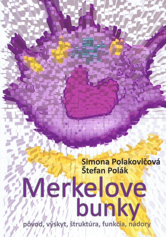 Merkelove bunky - pôvod, výskyt, štruktúra, funkcia, nádory
