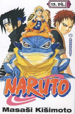 Naruto 13