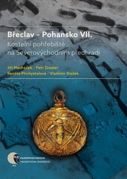 Břeclav Pohansko VII