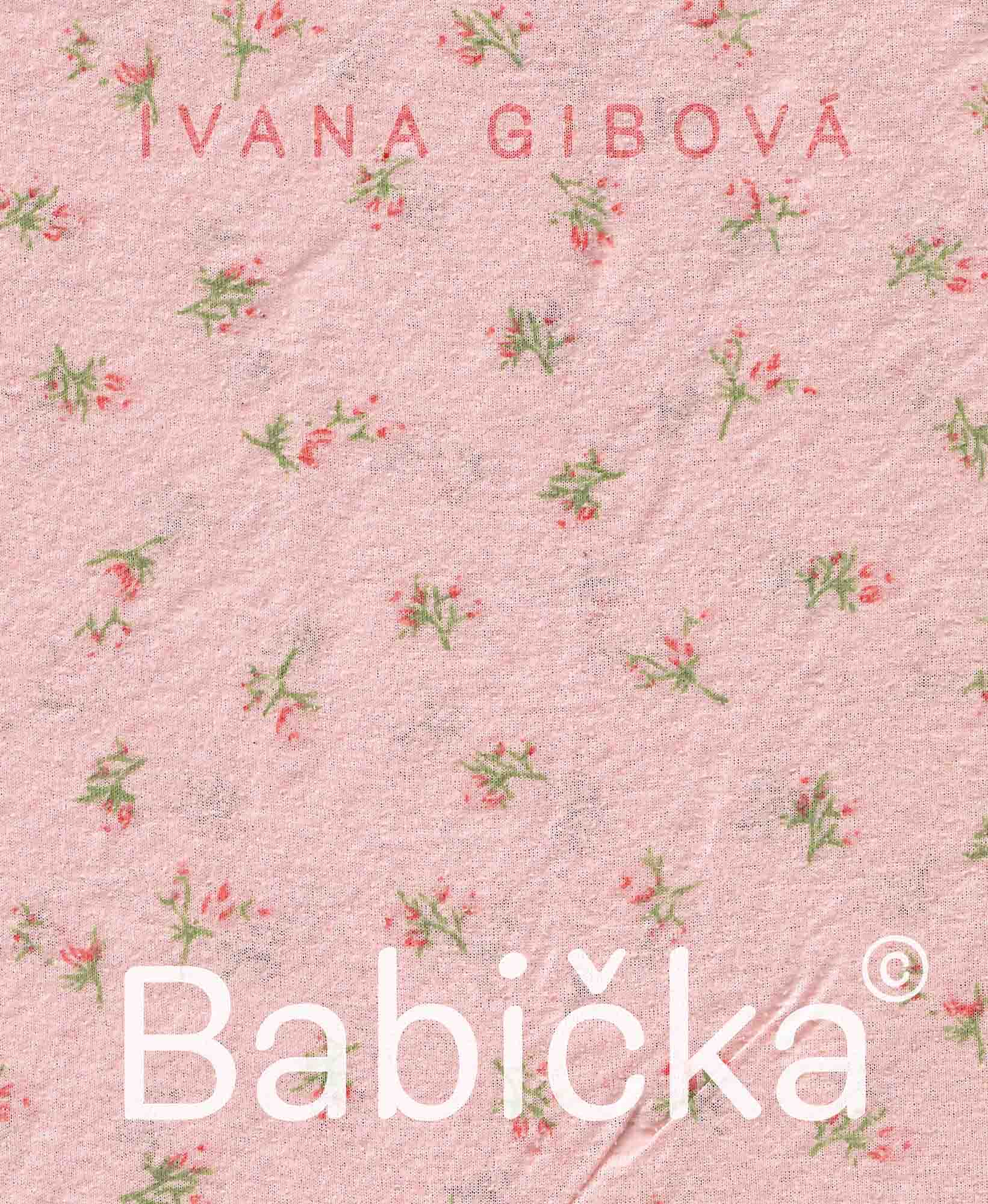 BabičkaC