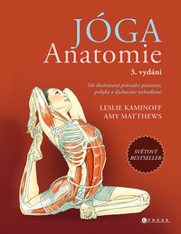Jóga. Anatomie