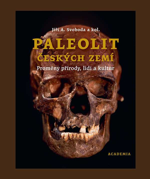 Paleolit českých zemí