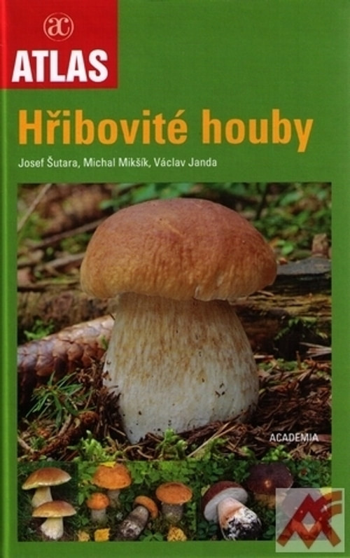 Hřibovité houby