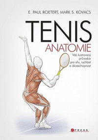 Tenis-anatomie