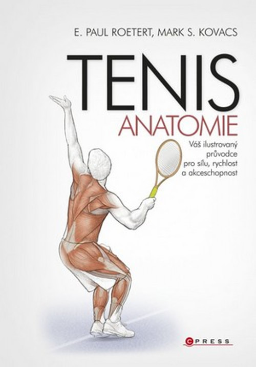 Tenis-anatomie