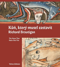 Kůň, který musel zastavit