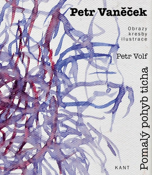 Petr Vaněček - Pomalý pohyb ticha